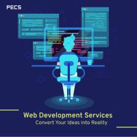 Planet E-Com Solutions(PECS) image 8